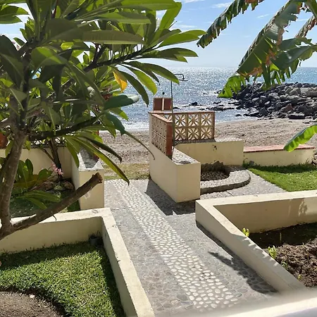 شقة 1 Bedroom Lovely In *